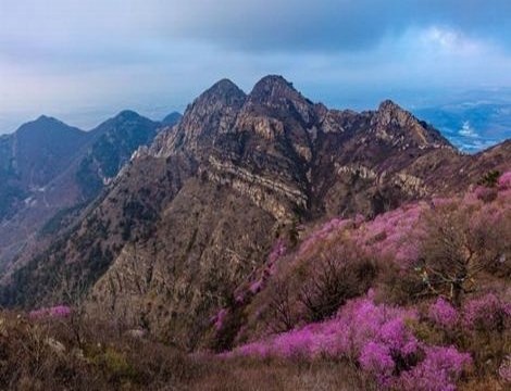 策驰影院大风行