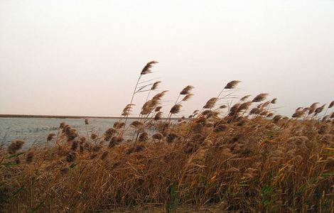 赌城群英会