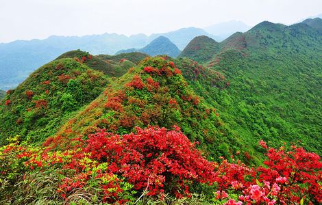 邓超倚天屠龙记